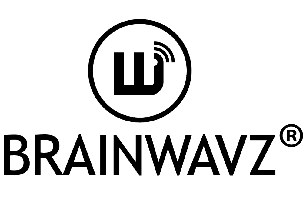 О магазине и наушниках Brainwavz. Почему я продаю именно Brainwavz? - Валерий Цешевский